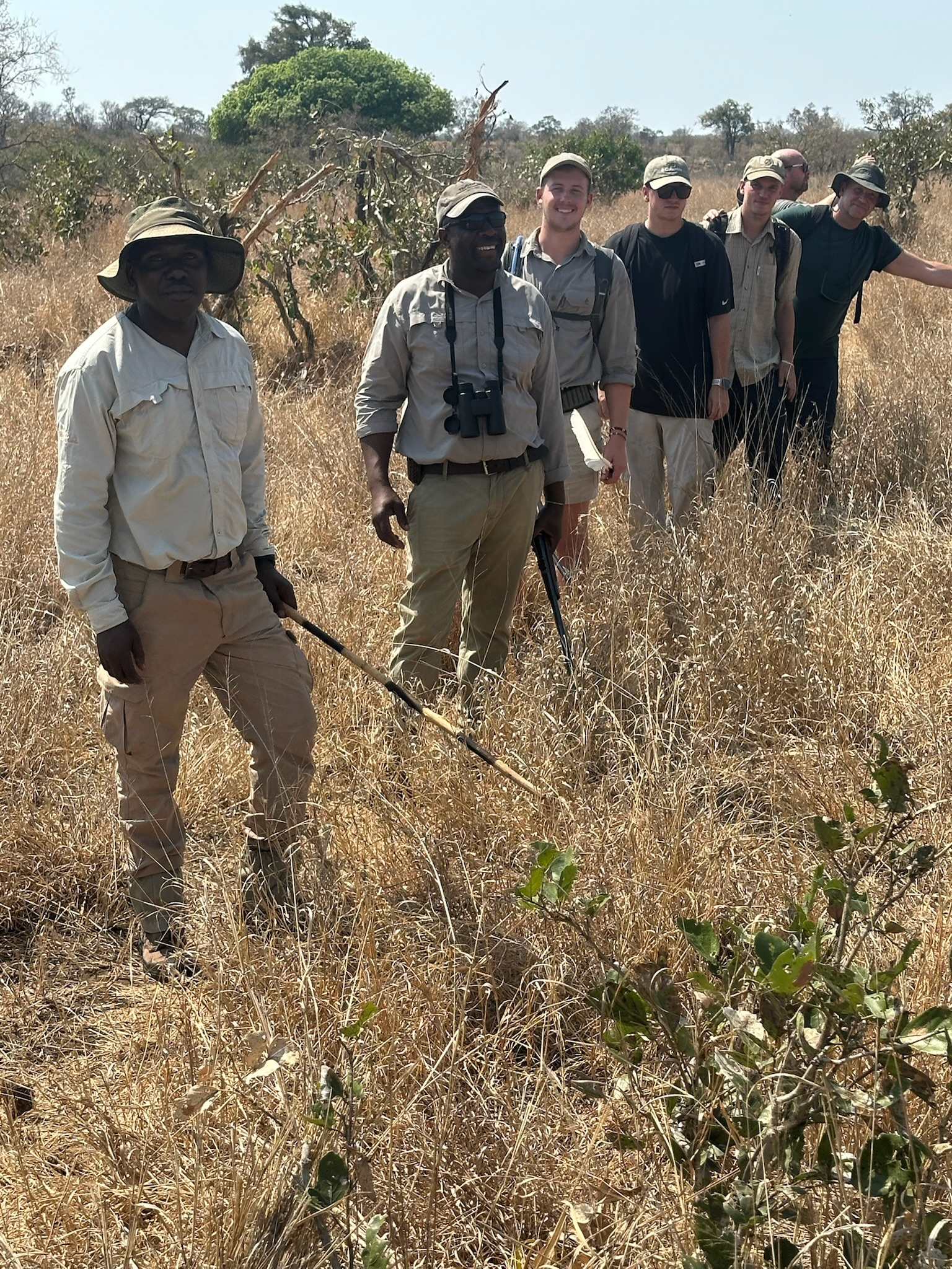 Group tracking in the African bush